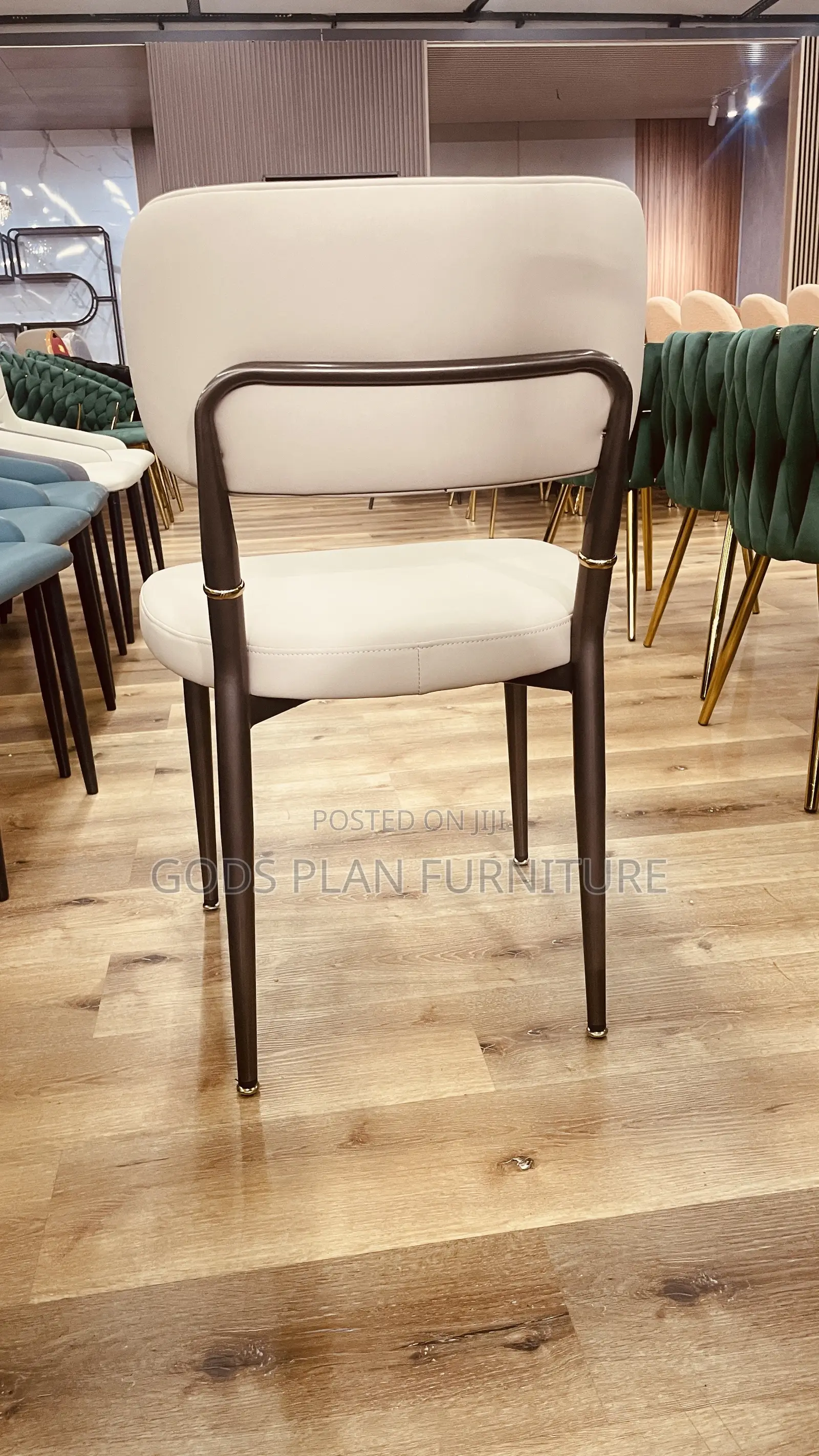 Leisure Chair/ Auditorium Chair