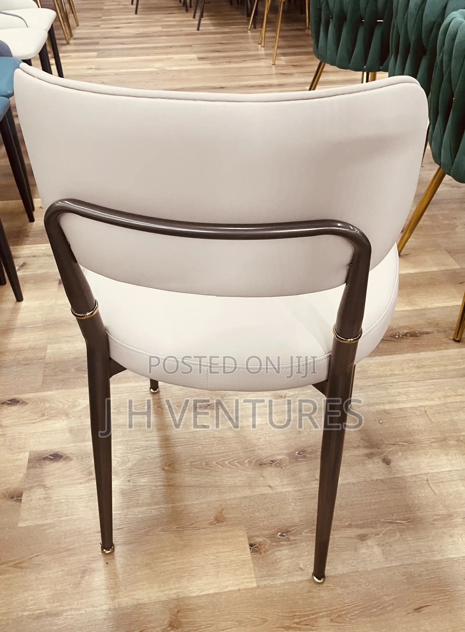 Leisure Chair/ Auditorium Chair