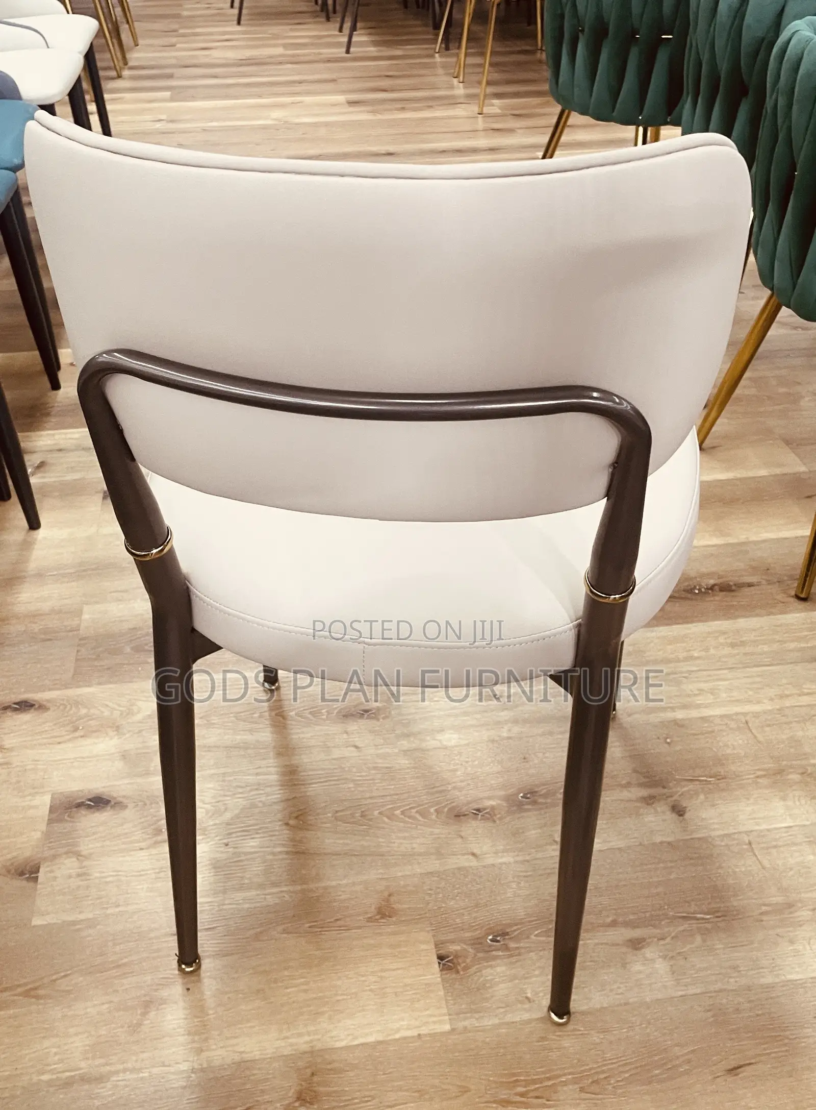 Leisure Chair/ Auditorium Chair