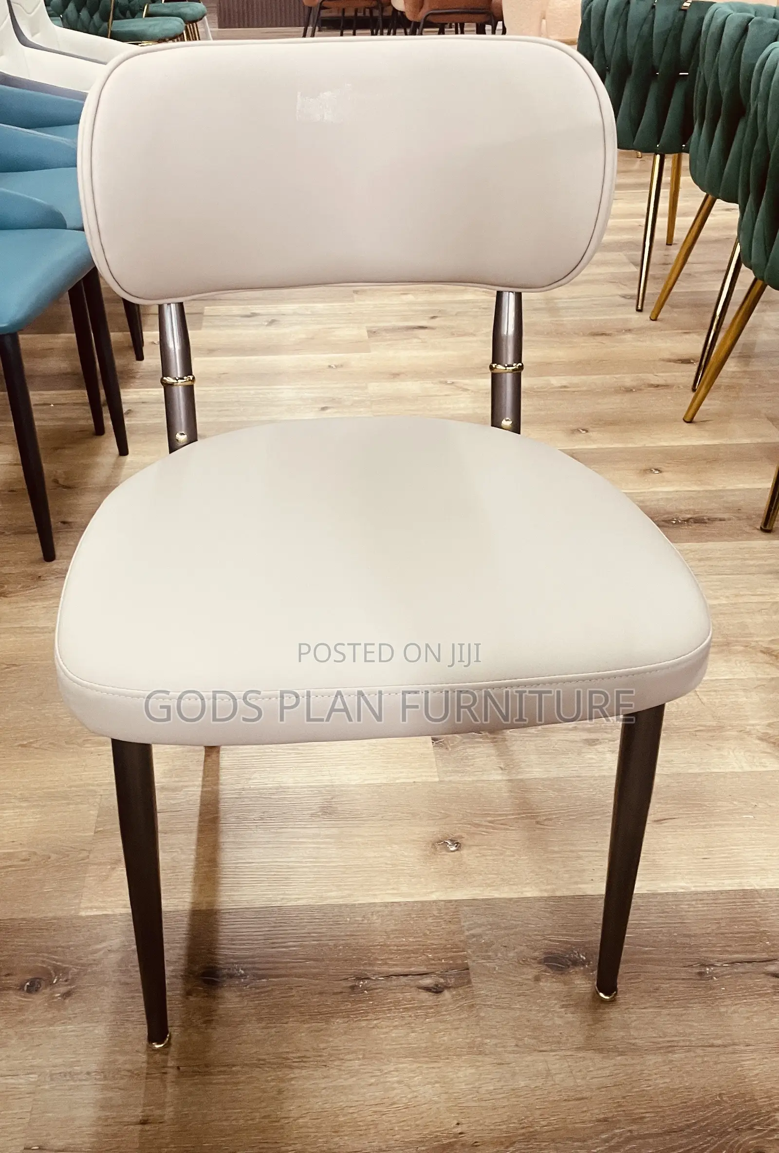 Leisure Chair/ Auditorium Chair