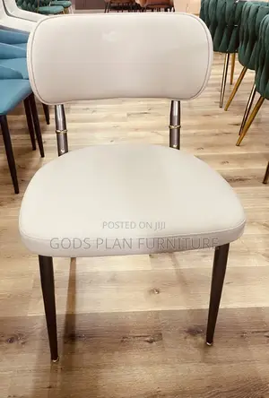 Leisure Chair/ Auditorium Chair