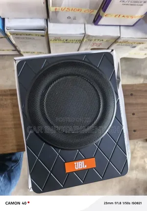 Quality 10 Inches Under Seat Subwoofer (Flat Woofer)