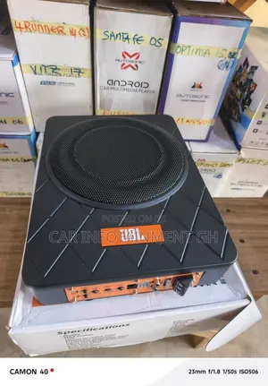 Quality 10 Inches Under Seat Subwoofer (Flat Woofer)
