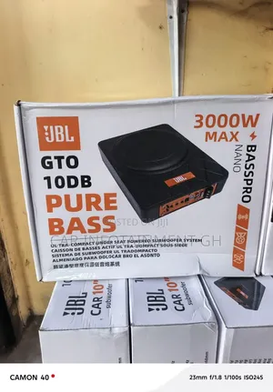 Quality 10 Inches Under Seat Subwoofer (Flat Woofer)