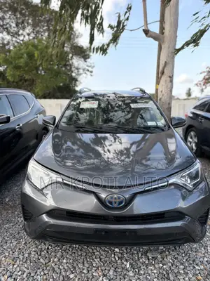 Toyota RAV4 2018 Gray