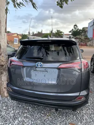 Toyota RAV4 2018 Gray