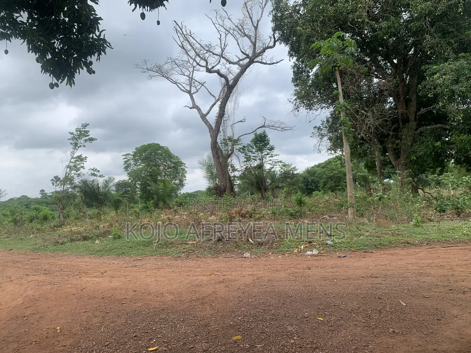 Farmland for Sale