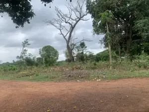 Farmland for Sale