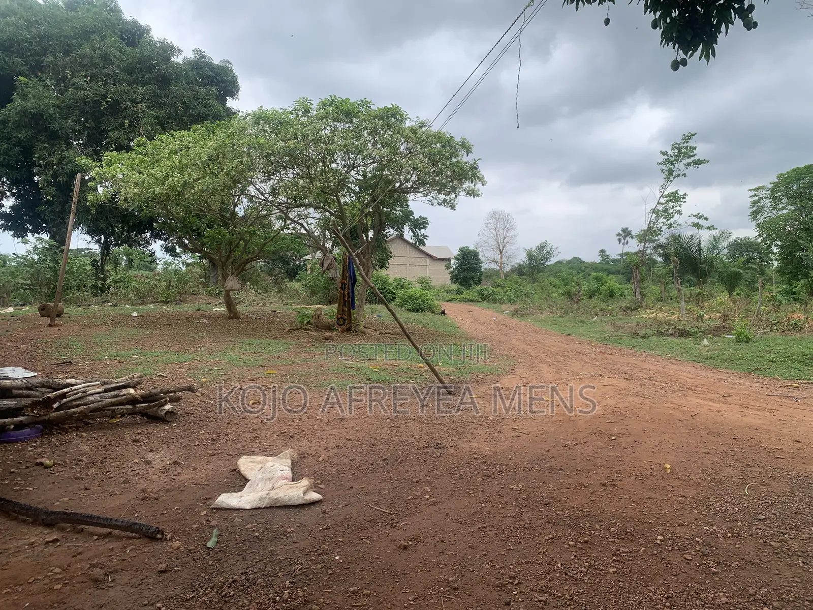 Farmland for Sale