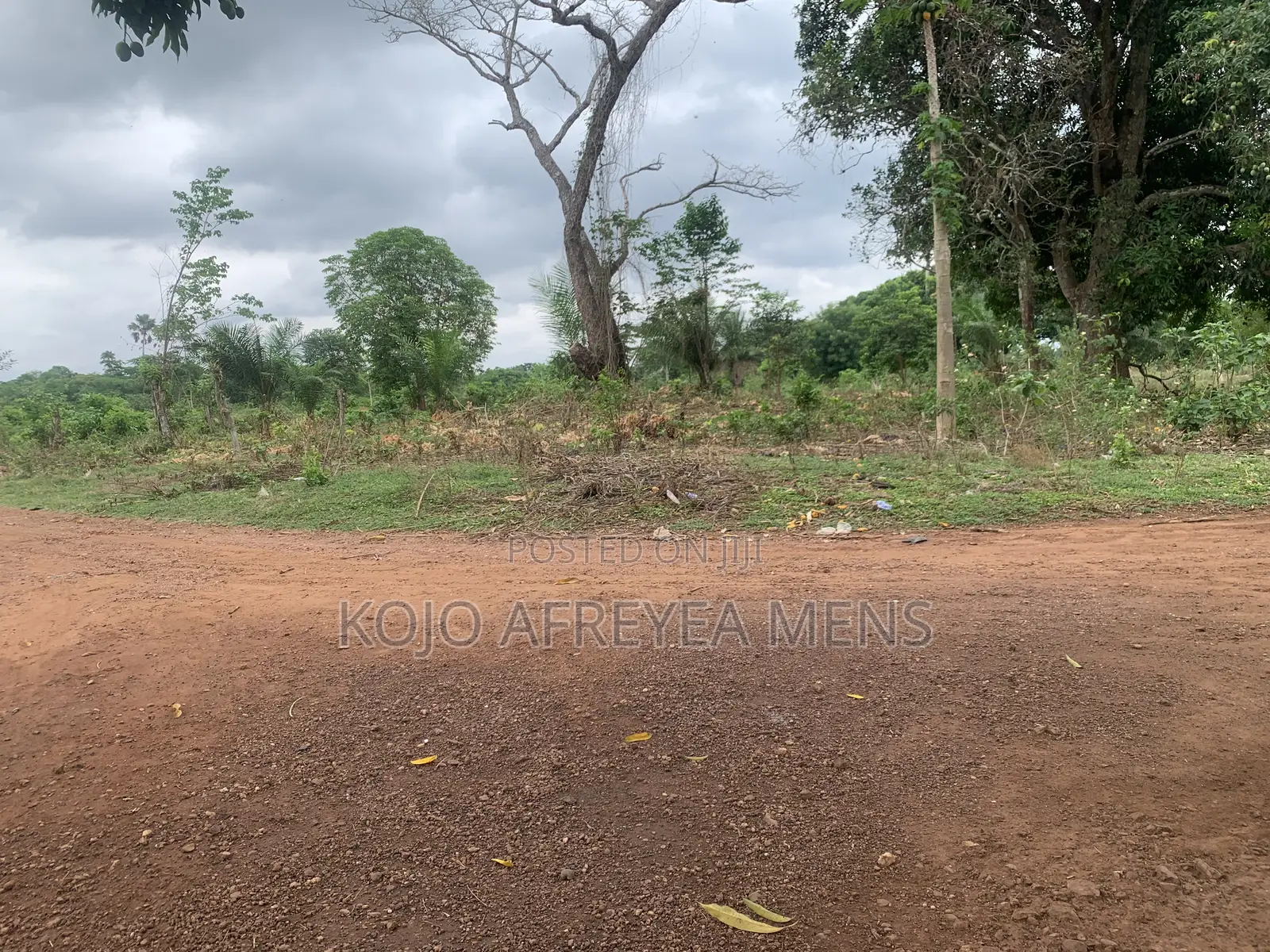Farmland for Sale