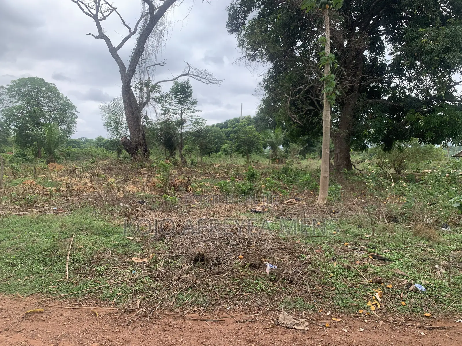 Farmland for Sale