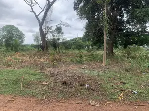 Farmland for Sale