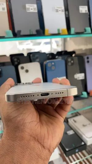 Apple iPhone 15 Pro Max 256 GB Silver