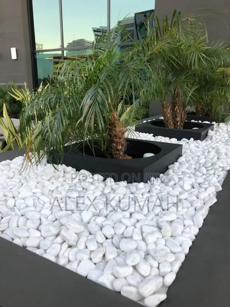 Brothers Classic And Pebbles Stones