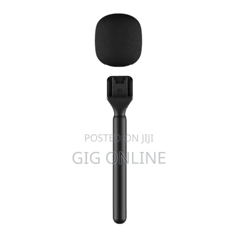 Professional Wireless Handheld Microphone Stick