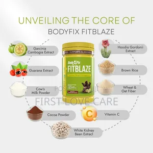 Bodyfix – Fitblaze
