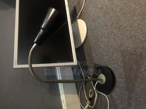 Study Lamp
