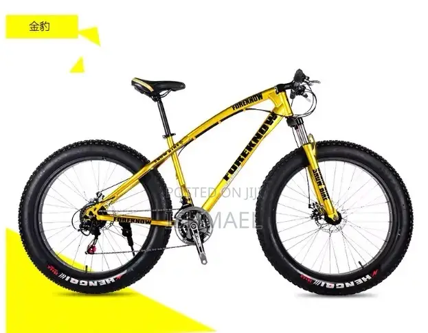 Brand New Hosquick Big Tire Bike