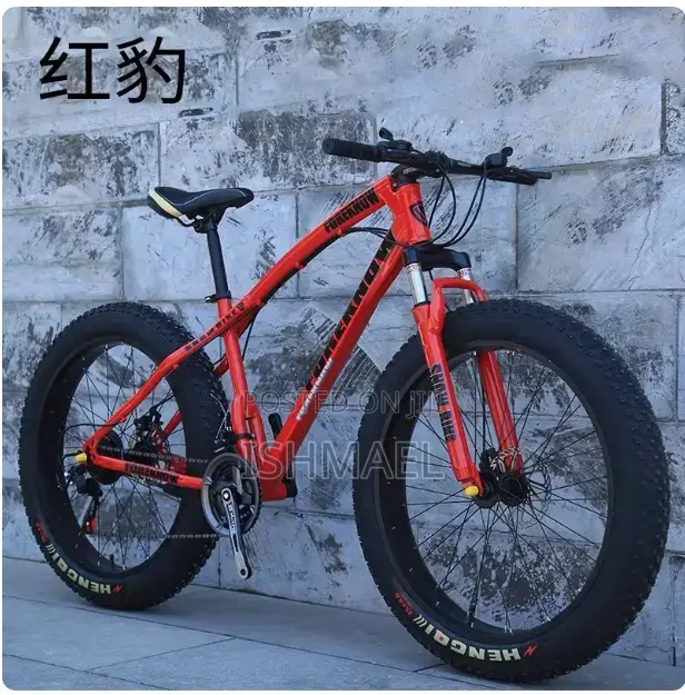 Brand New Hosquick Big Tire Bike