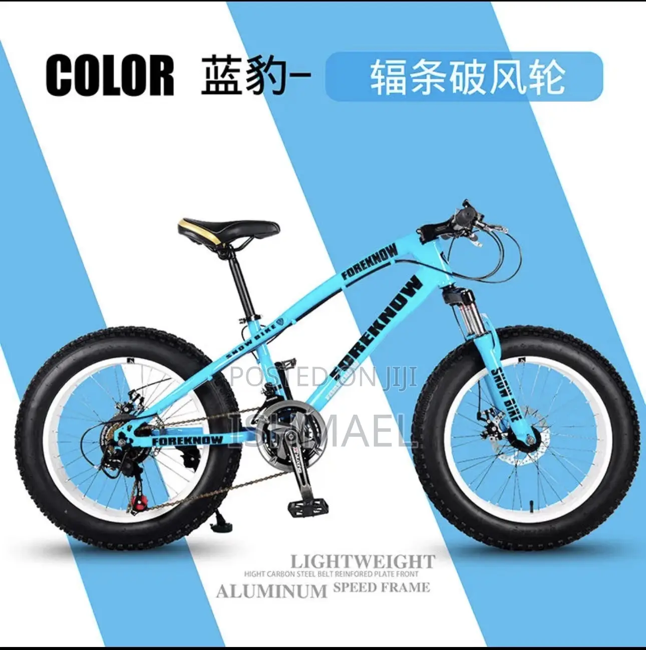 Brand New Hosquick Big Tire Bike
