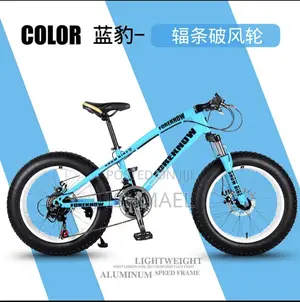 Brand New Hosquick Big Tire Bike