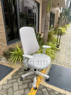 Ergonomic Chair
