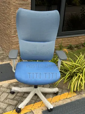 Ergonomic Chair
