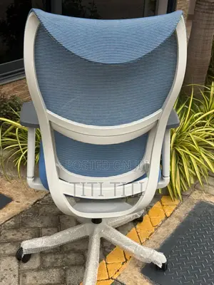 Ergonomic Chair