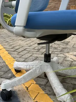 Ergonomic Chair