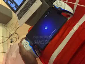 Playstation Portal