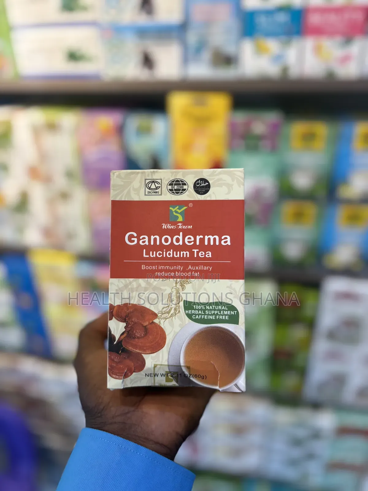 Ganoderma Lucidum Tea for Immune Wellness Support