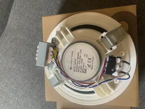 Ceiling Speakers for Pa System