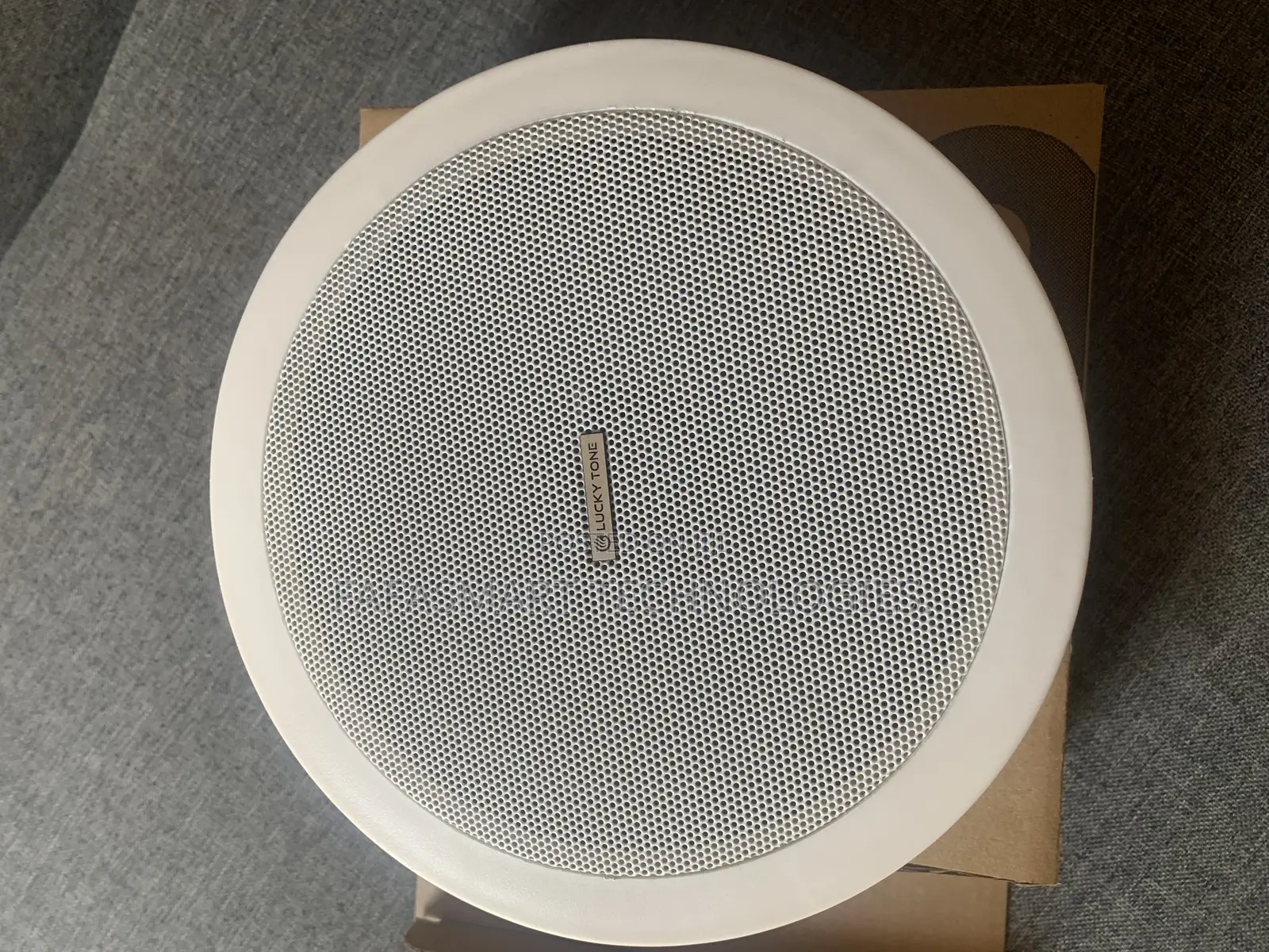 Ceiling Speakers for Pa System