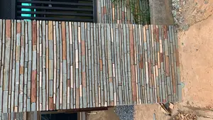 Takwa Shells
