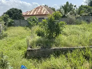 The Land Is More Than Half Plot.