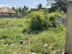 The Land Is More Than Half Plot.