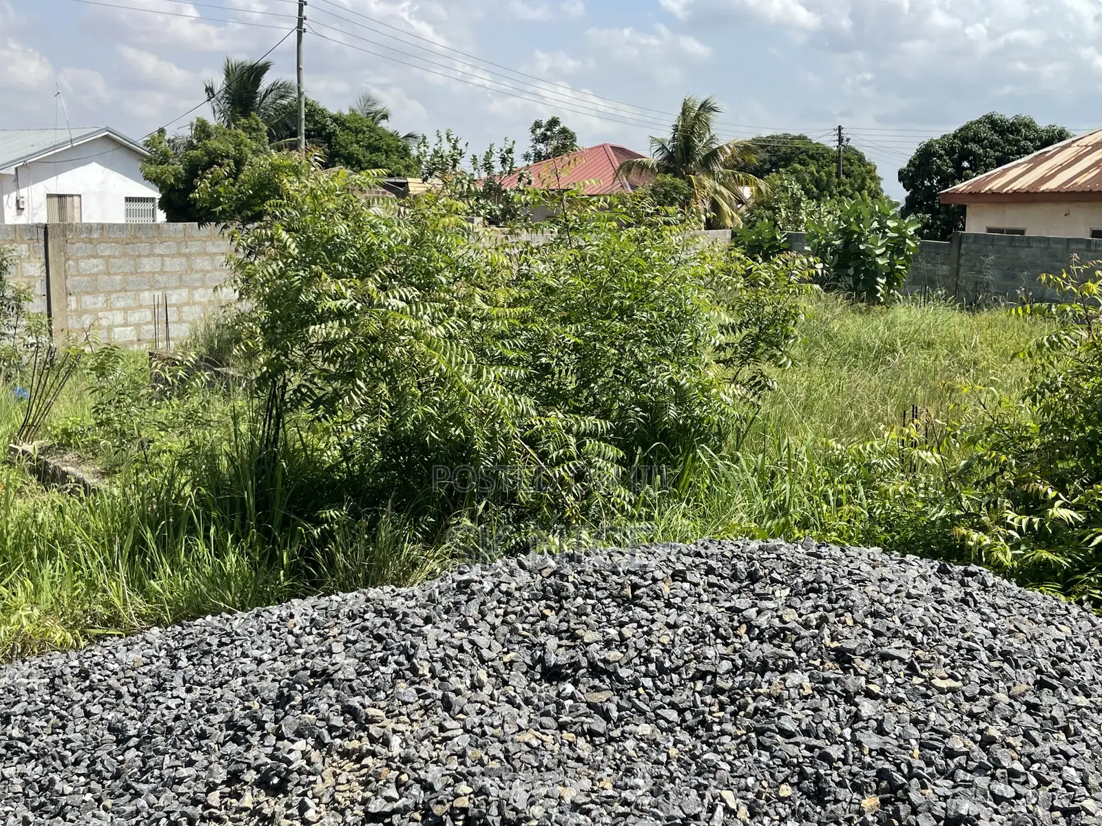The Land Is More Than Half Plot.