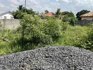 The Land Is More Than Half Plot.