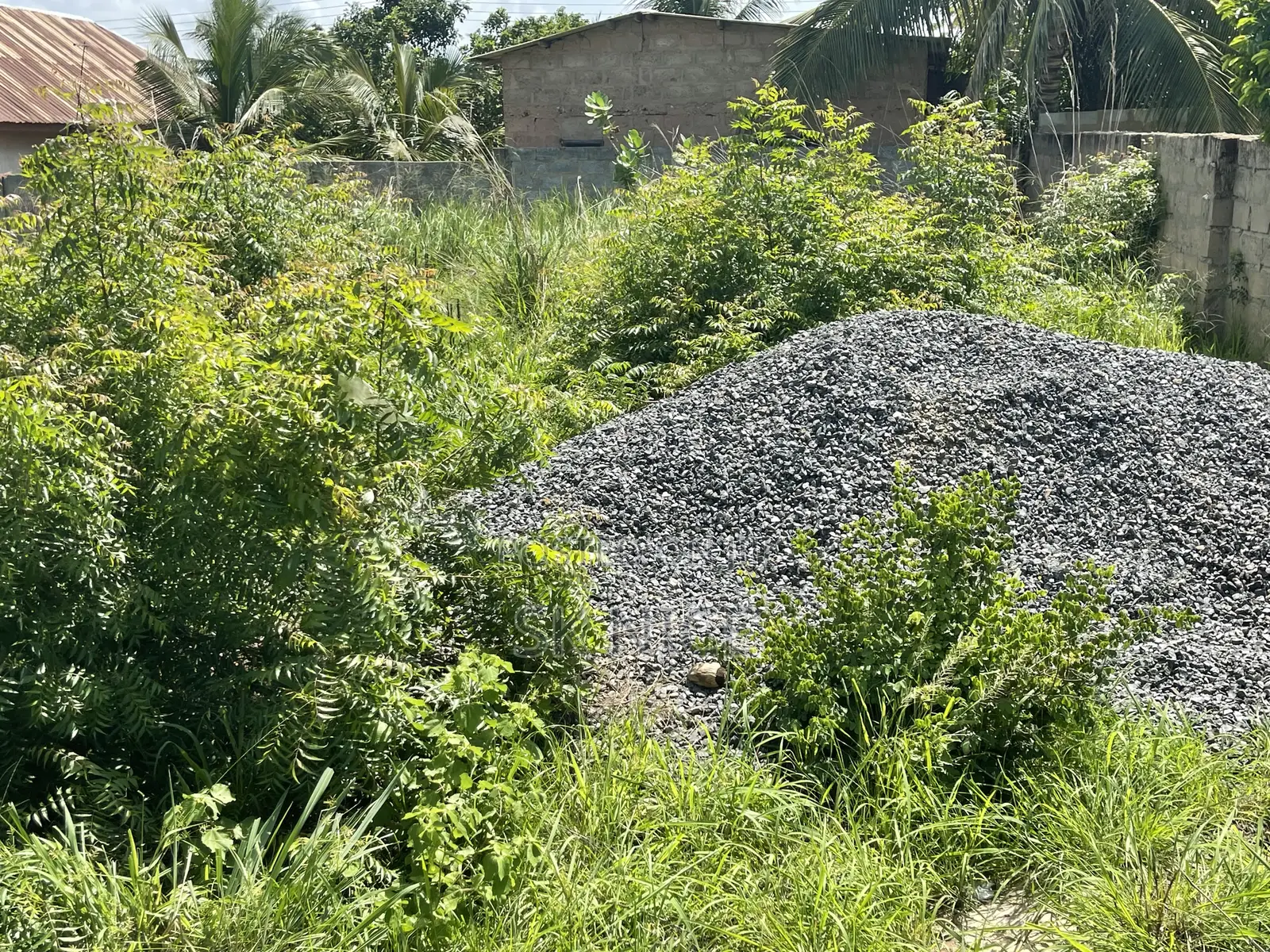 The Land Is More Than Half Plot.