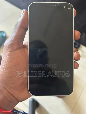 Apple iPhone 12 Pro Max 256 GB Silver