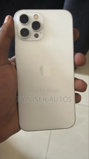 Apple iPhone 12 Pro Max 256 GB Silver