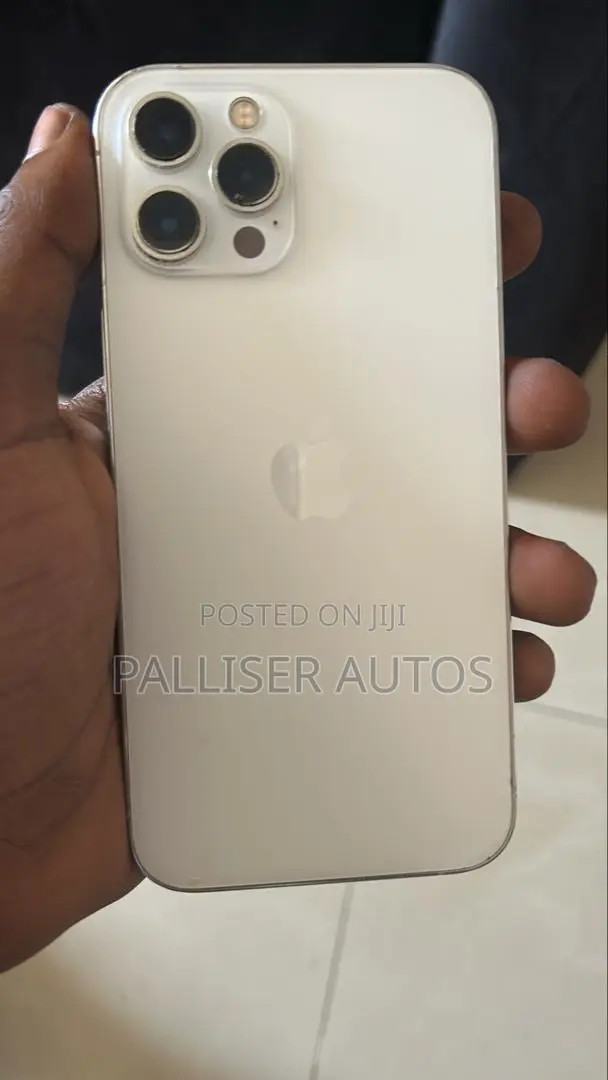 Apple iPhone 12 Pro Max 256 GB Silver