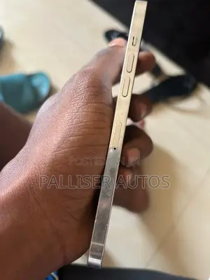 Apple iPhone 12 Pro Max 256 GB Silver