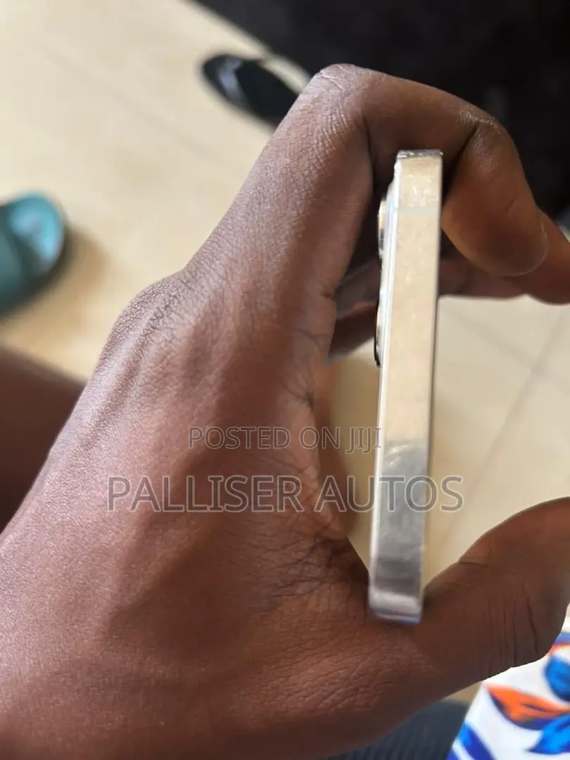 Apple iPhone 12 Pro Max 256 GB Silver