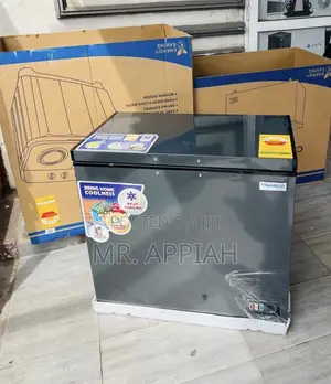 Buy Nasco 316l Single Door Chest Freezer(Nas425fl)Gray 