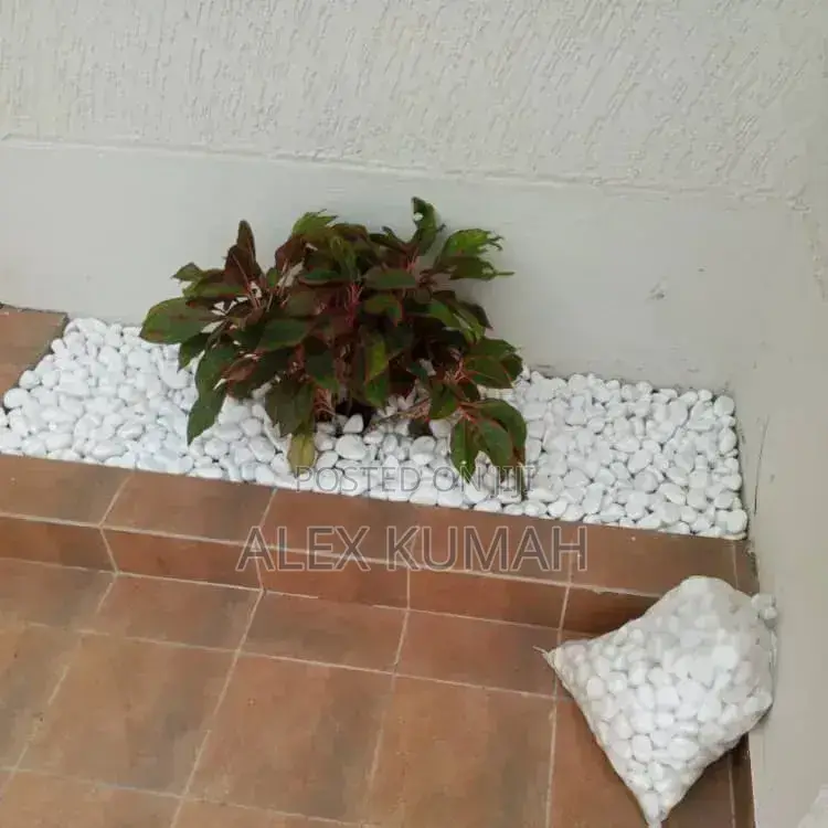 Brothers Classic And Pebbles Stones