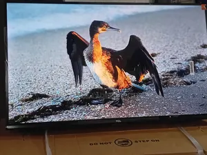 TCL 32” Led Tv With Powerful Surround Sound