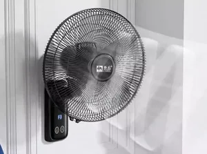 Wall Fun With Remote Control