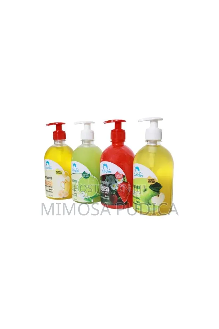 Bubbles Antibacterial Handsoap