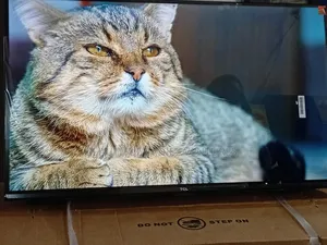 TCL 32-Inch Led Smart Tv for Family Entertainment